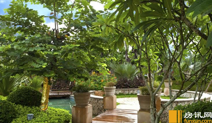 ��������޷���ͼ