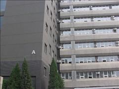 �캣����������ͼ