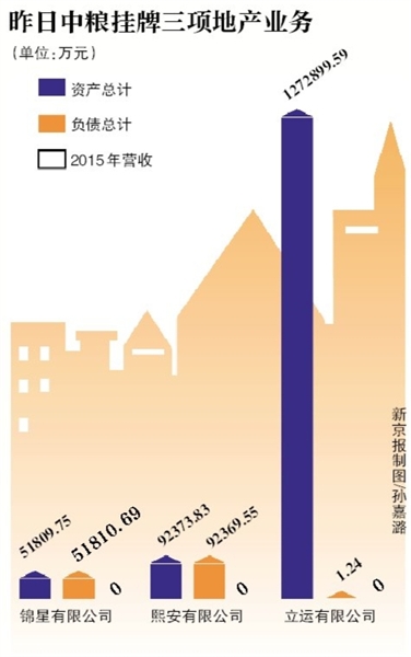 �������� ���չ��Ƴ�����������ʲ�