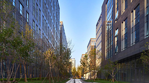 ��ʯ����԰��ϯ����ʮһ��ȫ��д��¥չʾ���׻ᡱ