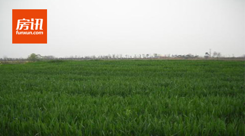 ��ݸ�����ִ������г�������԰�ᾰ��ͷ����