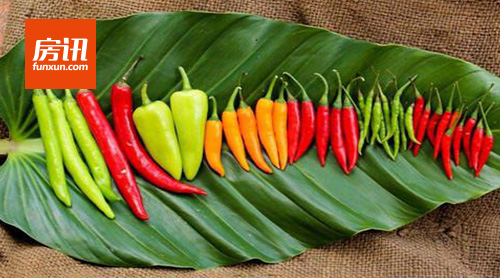 �½��׸�����(ɫ��)ȫ��ҵ���������˳���