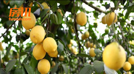 �Ĵ����조������ɫС��