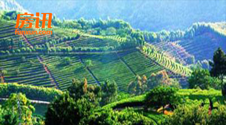 �й��³���2017���ͬ����32.96��Ԫ ��������250��ƽ��