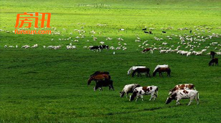 ���ɹ�10�����Ҽ���óת���������ػ���