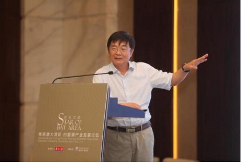 湾区之星粤港澳大湾区·白鹅潭产业发展论坛