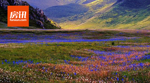 �ຣ������������֧����ҵ