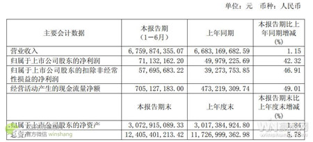 �����������걨 �������������ĳ�