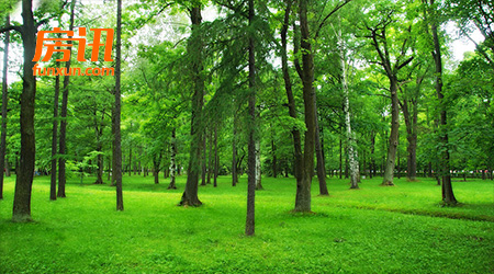 �����򣺴��������й��ġ�����������