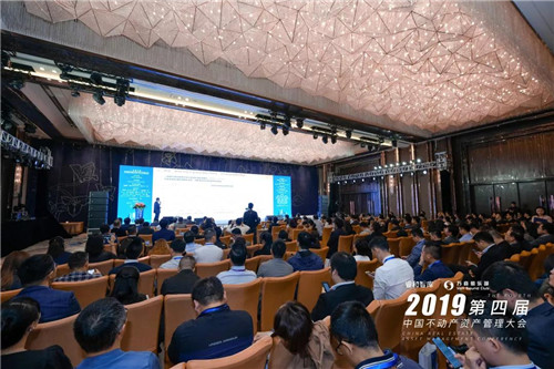 2019���Ľ��й��������ʲ��������ɹ��ٰ�