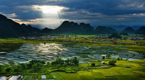 �������½������ֺš�ʪ�ع�԰����������