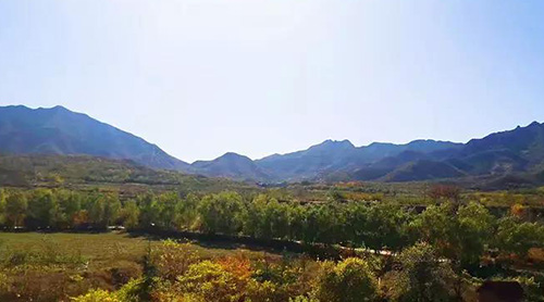 ��Ȫ�Ѿ������ģ�����Ժ�������