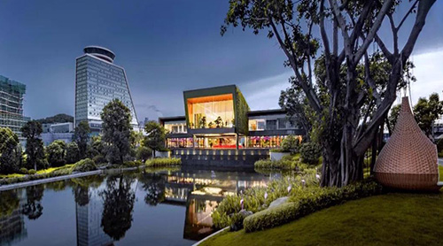 ������������2018������˫�Ϲھ� ���������ĳ�������͹��