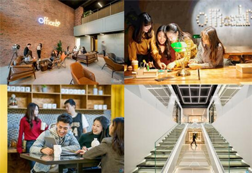 �����к�����OFFICEZIP������������