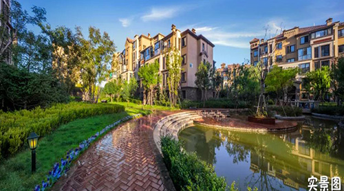 Լ�洺�� �������� �׿���Ϫ������ȡ�������