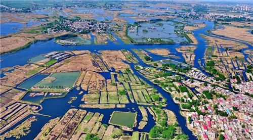 �۰�������������ģʵ���Կ����׶�